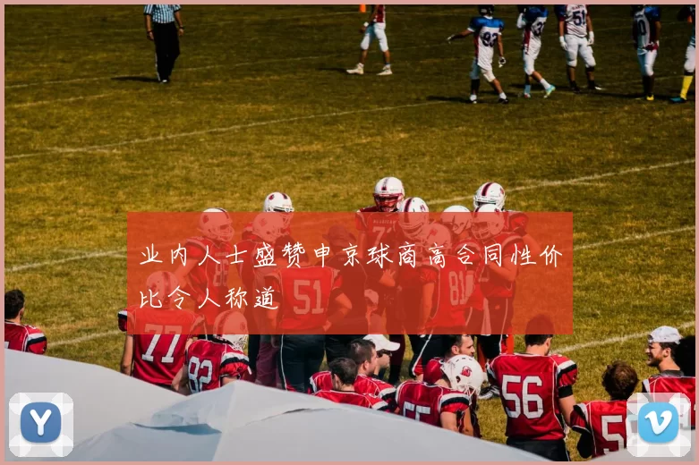 业内人士盛赞申京球商高合同性价比令人称道